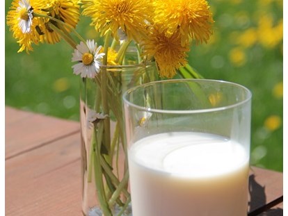 Luxuscamping - WLAN - Deutschland - Urlaub auf dem Bauernhof. Auf unserem vollbewirtschafteten Milchviehbetrieb können Sie das Melken und Füttern täglich miterleben. - Ur Laub`s Hof